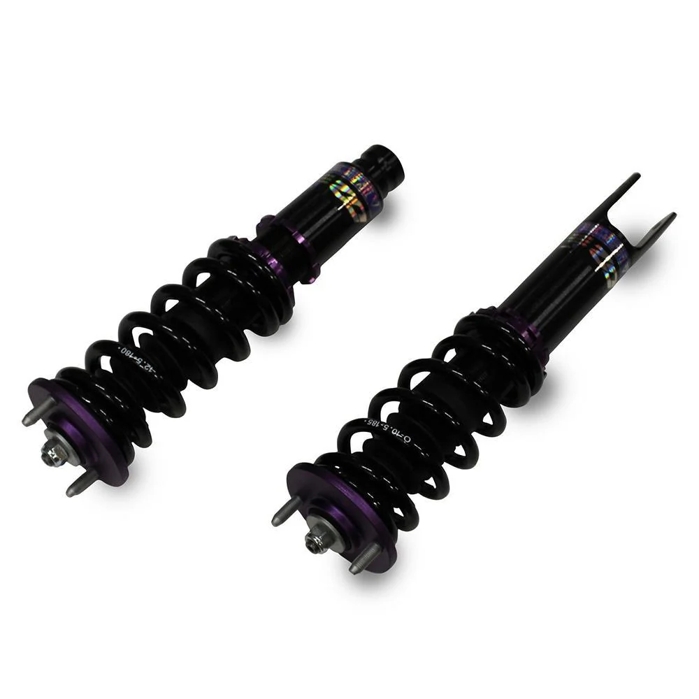 D2 Racing RS Coilovers for 1996-2000 Honda Civic (D-HN-19)