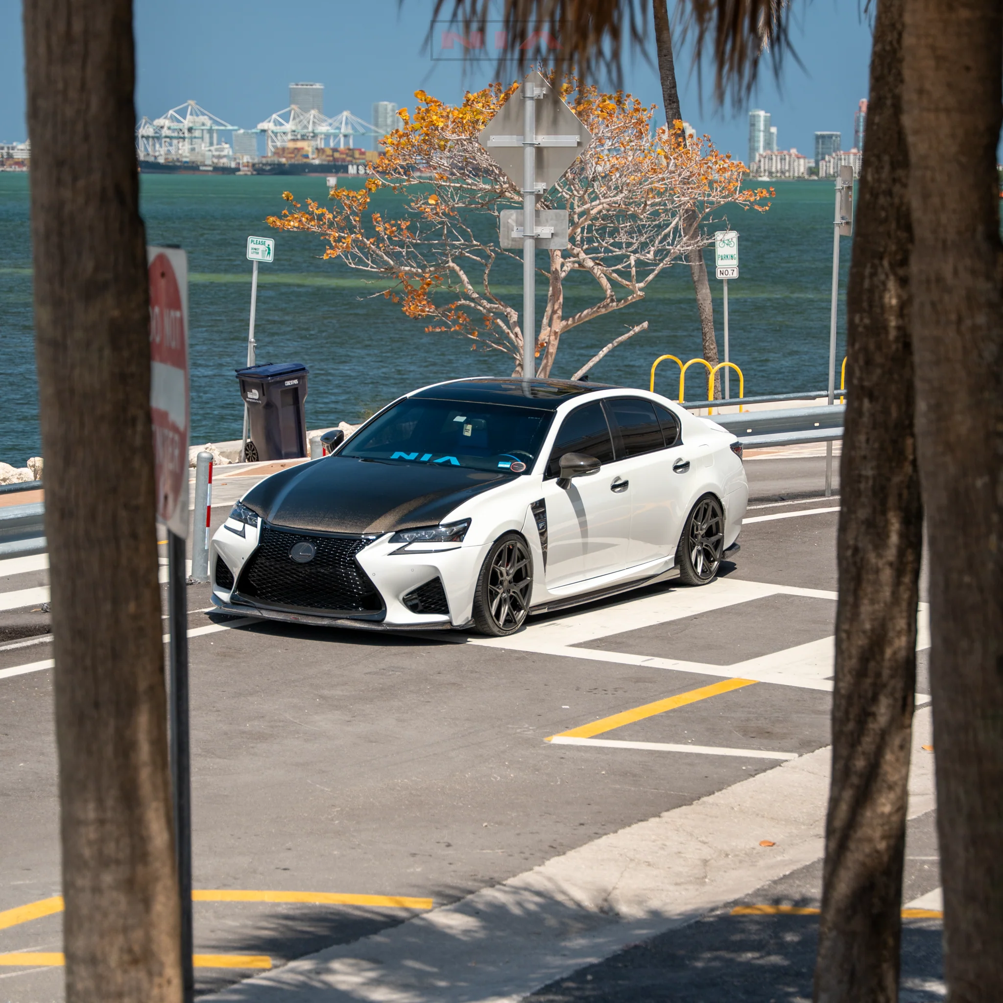 Lexus GS-F NIA Full Body Kit 6pcs (Front Splitter, Side Skirt Rockers, Rear apron spats, Diffuser - Image 10