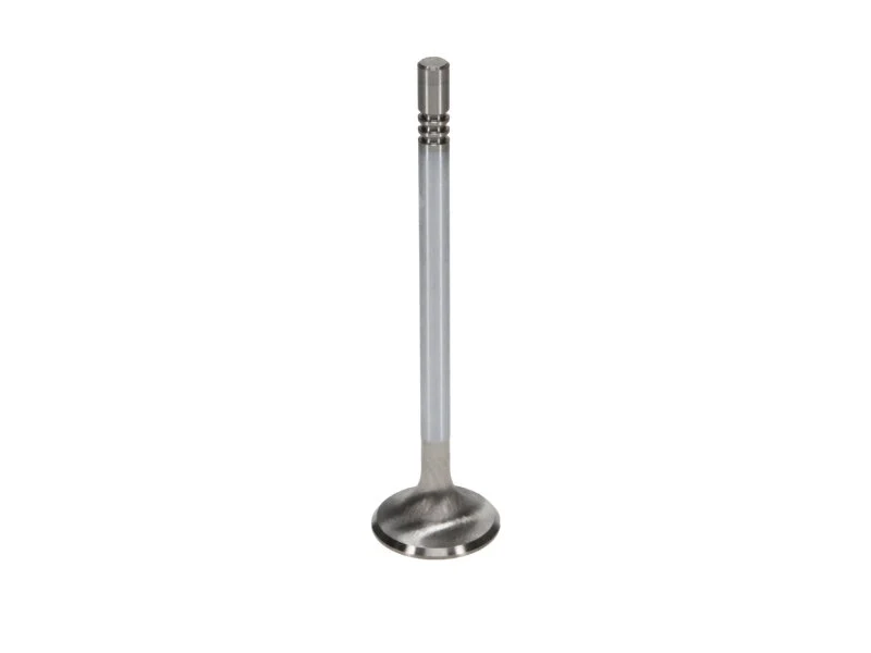 Manley 99-12 Ford 4.6L/281 5.4L/330 V8 37mm Race Series Stainless Steel Intake Valve - Single - Image 4