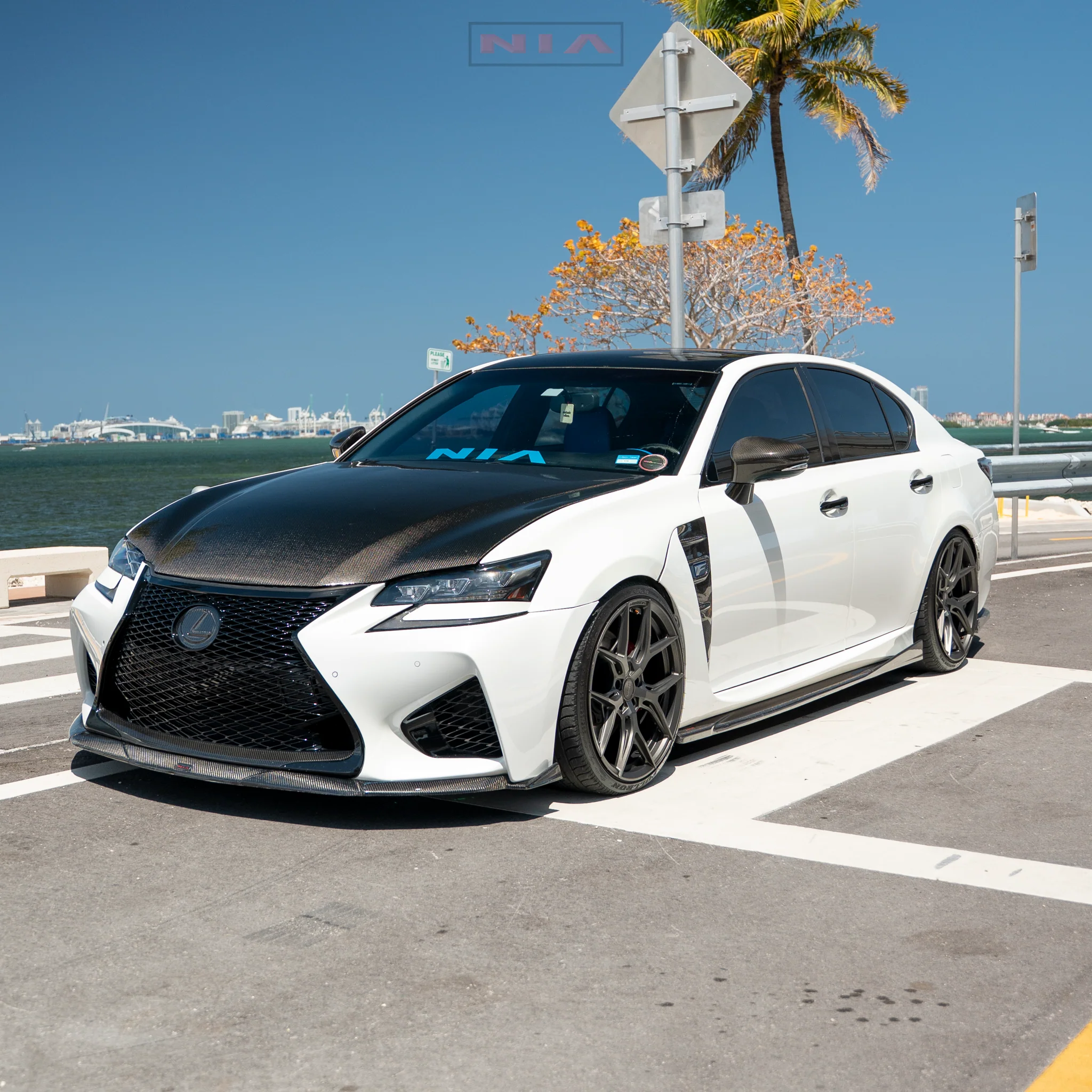 Lexus NIA Replacement L Emblem (7") in ABS or Carbon Fiber - Image 13
